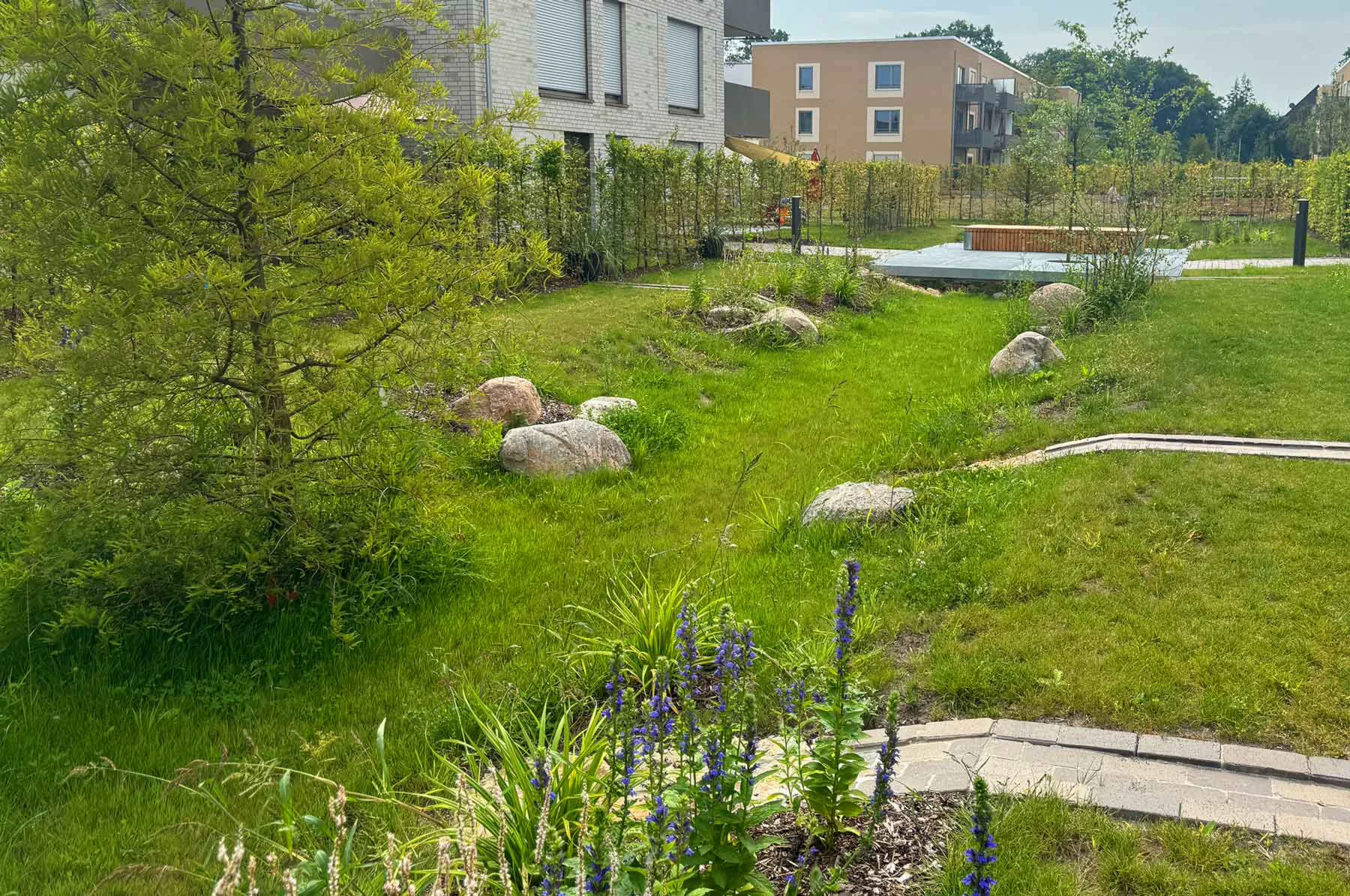 Grüne Rasenfläche mit Steinen und Büschen, umgeben von modernen Wohnhäusern im Hintergrund.